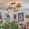 Gastor ceiling light, globe light gold, black, 8-light sources