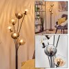 Koyoto floor lamp 40 cm Amber, clear, Smoke-coloured, 6-light sources