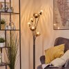 Koyoto floor lamp 40 cm Amber, clear, Smoke-coloured, 6-light sources