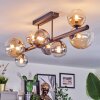 Chehalis ceiling light, globe light Amber, clear, Smoke-coloured, 8-light sources