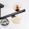 Chehalis ceiling light, globe light Amber, clear, Smoke-coloured, 8-light sources