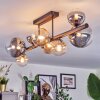 Chehalis ceiling light, globe light Amber, clear, Smoke-coloured, 8-light sources