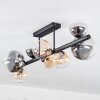 Chehalis ceiling light, globe light Amber, clear, Smoke-coloured, 8-light sources
