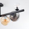 Chehalis ceiling light, globe light Amber, clear, Smoke-coloured, 8-light sources