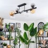 Chehalis ceiling light, globe light Amber, clear, Smoke-coloured, 8-light sources