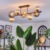 Chehalis ceiling light, globe light Amber, Smoke-coloured, 8-light sources