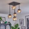 Ripoll ceiling light, globe light clear, Smoke-coloured, 5-light sources