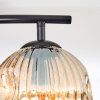 Ripoll ceiling light, globe light Amber, Smoke-coloured, 2-light sources