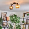 Ripoll ceiling light, globe light Amber, Smoke-coloured, 2-light sources
