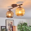Ripoll ceiling light, globe light Amber, Smoke-coloured, 2-light sources