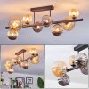 Chehalis ceiling light, globe light Amber, Smoke-coloured, 8-light sources