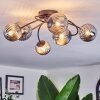 Chehalis ceiling light, globe light Smoke-coloured, 6-light sources