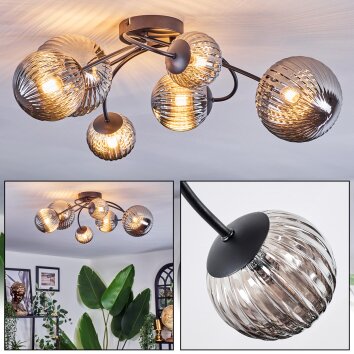 Chehalis ceiling light, globe light Smoke-coloured, 6-light sources