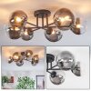 Chehalis ceiling light, globe light 20 cm clear, Smoke-coloured, 6-light sources