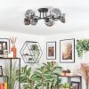 Chehalis ceiling light, globe light 20 cm clear, Smoke-coloured, 6-light sources