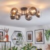 Chehalis ceiling light, globe light 20 cm clear, Smoke-coloured, 6-light sources
