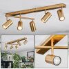Javel ceiling light, ceiling spotlight gold, 5-light sources