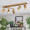 Javel ceiling light, ceiling spotlight gold, 5-light sources