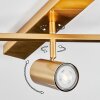 Javel ceiling light, ceiling spotlight gold, 5-light sources