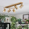 Javel ceiling light, ceiling spotlight gold, 5-light sources
