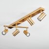 Javel ceiling light, ceiling spotlight gold, 5-light sources