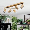 Javel ceiling light, ceiling spotlight gold, 5-light sources