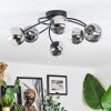 Chehalis ceiling light, globe light 56 cm clear, Smoke-coloured, 6-light sources