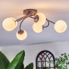 Chehalis ceiling light, globe light white, 6-light sources