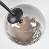 Chehalis ceiling light, globe light 20 cm Smoke-coloured, 6-light sources