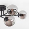 Chehalis ceiling light, globe light 20 cm Smoke-coloured, 6-light sources