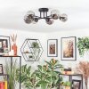 Chehalis ceiling light, globe light 18 cm Smoke-coloured, 6-light sources