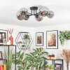 Chehalis ceiling light, globe light 20 cm Smoke-coloured, 6-light sources