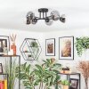 Chehalis ceiling light, globe light 18 cm clear, Smoke-coloured, 6-light sources