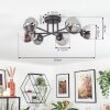 Chehalis ceiling light, globe light 18 cm clear, Smoke-coloured, 6-light sources