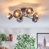 Chehalis ceiling light, globe light 18 cm clear, Smoke-coloured, 6-light sources