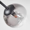 Chehalis ceiling light, globe light 18 cm clear, Smoke-coloured, 6-light sources