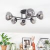 Chehalis ceiling light, globe light 18 cm clear, Smoke-coloured, 6-light sources