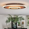 Meron ceiling light LED Wood like finish, black, 1-light source