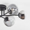 Chehalis ceiling light, globe light clear, Smoke-coloured, 6-light sources