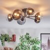 Chehalis ceiling light, globe light clear, Smoke-coloured, 6-light sources