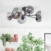 Chehalis ceiling light, globe light clear, Smoke-coloured, 6-light sources