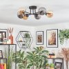 Chehalis ceiling light, globe light Amber, Smoke-coloured, 6-light sources