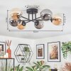 Chehalis ceiling light, globe light Amber, Smoke-coloured, 6-light sources