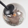 Chehalis ceiling light, globe light Amber, Smoke-coloured, 6-light sources