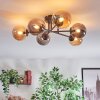 Chehalis ceiling light, globe light Amber, Smoke-coloured, 6-light sources