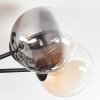 Chehalis ceiling light, globe light Amber, clear, Smoke-coloured, 6-light sources