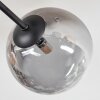 Chehalis ceiling light, globe light Amber, clear, Smoke-coloured, 6-light sources