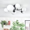 Chehalis ceiling light, globe light white, 6-light sources