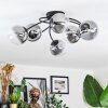 Chehalis ceiling light, globe light 58 cm clear, Smoke-coloured, 6-light sources