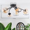 Chehalis ceiling light, globe light Amber, clear, 6-light sources